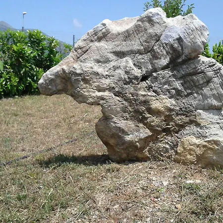 Alojamento de Acomodação e Pequeno-almoço Torre Nave